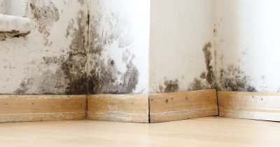 Water_Damage_Walls_1200_630